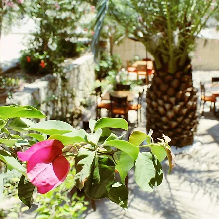 B&B Albergo Cesme 3*